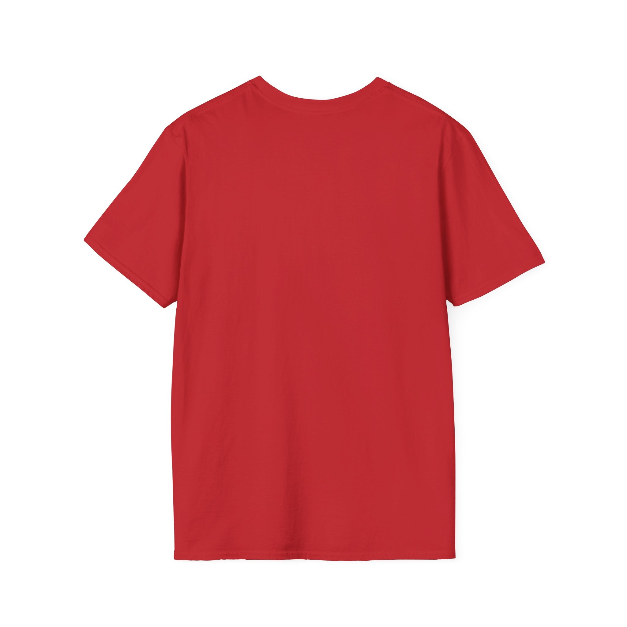Fab-uela T-Shirt — Retro Grandma Graphic Tee ("Fab-uela: Like a Regular Grandma but More Fabulous")